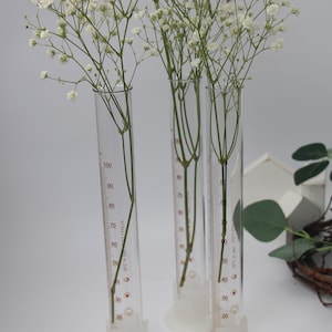 Glass Test Tubes Medical Tube Test Jar Vintage Laboratory Instruments Laboratory 100 ml Glass Cylinder Chemical Tube Vintage Floral Vases
