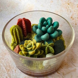 Succulent Candles Kit / DIY Gifts / Castus Candle image 5