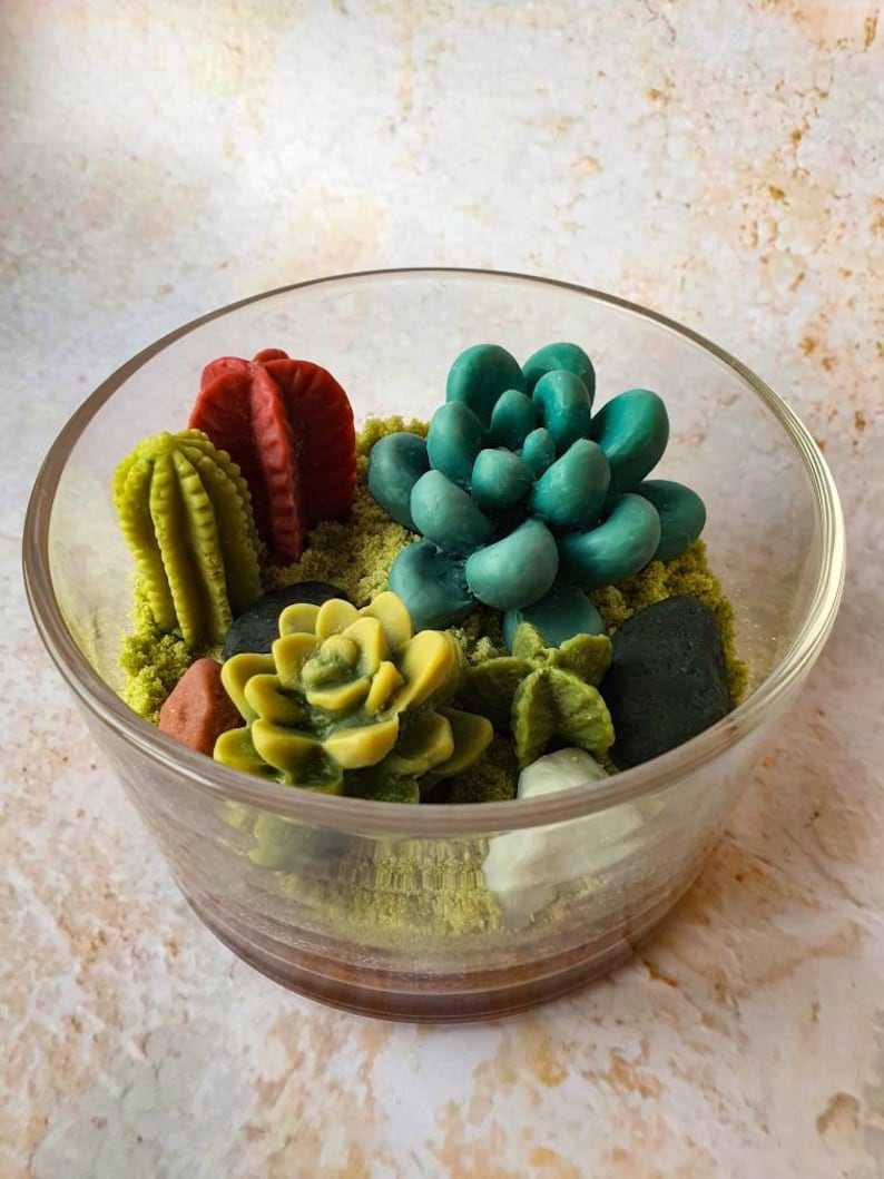 Succulent Candles Kit / DIY Gifts / Castus Candle image 5