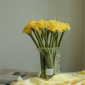 May include: A collection of yellow flowers with green stems in a clear glass beaker. The flowers have a fluffy, textured appearance. The beaker is marked with measurements in millilitres. A yellow fabric is draped in the foreground.