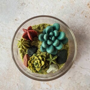 Succulent Candles Kit / DIY Gifts / Castus Candle image 3