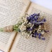 see more listings in the DRIED FLOWER section