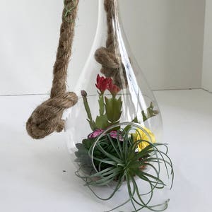 Hanging Glass Vase with Artificial Grass Succulents, Flowering Cactus, Yellow Flowers and Purple Butterfly