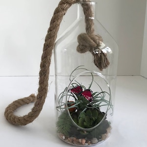 May include: A clear glass terrarium with a rope handle, filled with small plants, rocks, and a red butterfly.