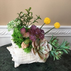 May include: A decorative seashell planter filled with a variety of faux succulents and greenery. The arrangement includes green, purple, and light pink succulents, with bright yellow accents. The seashell is white and sits on a dark green surface.