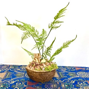 Puede incluir: Una pequeña figurita de elefante de cerámica se encuentra en una maceta decorativa de color marrón con forma de nuez, llena de musgo verde, piedras pequeñas y una planta de helecho.