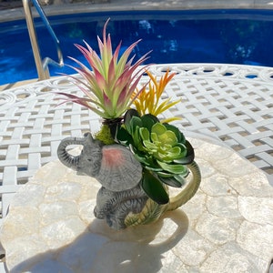 Può includere: Un vaso di elefante in ceramica con finitura rosa e grigia, che contiene una varietà di piante grasse e piante verdi. Il vaso è appoggiato su un vassoio decorativo circolare bianco.