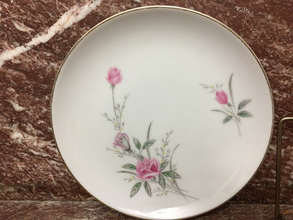 Amazon.com | fanquare Pink Rose Tea Cup and Saucer Set for 6