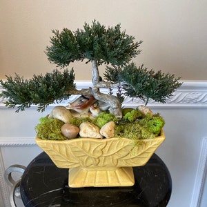May include: A yellow ceramic planter with a leaf design, filled with green moss, small rocks, and a miniature bonsai tree with two ceramic birds.