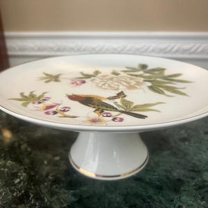 May include: White ceramic cake stand with a gold rim and a pedestal base. The plate features a colorful bird and floral design with green leaves and pink accents. A decorative piece for serving desserts.