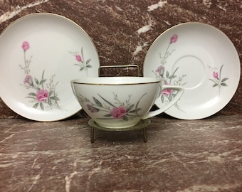 Moss Rose Plates, Cups, Snack Set, Vintage Cake Plate by