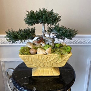May include: A yellow ceramic planter with a leaf design, holding a small bonsai tree with green foliage and ceramic birds. The planter is sitting on a black marble surface.