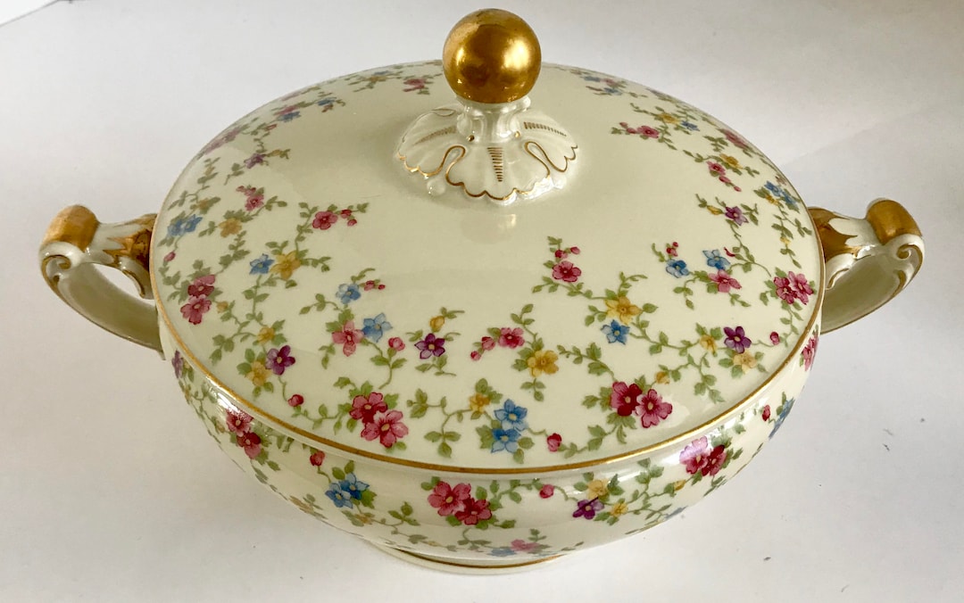 Heinrich H&C Selb Bavaria Germany Ivory Body Supreme Christine