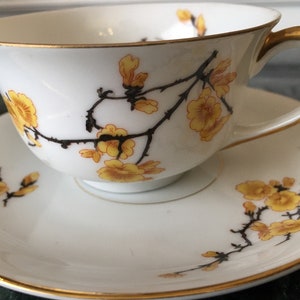 Royal Bayreuth ROB19 Yellow Flowers, Black Branches, Teacup & Saucer