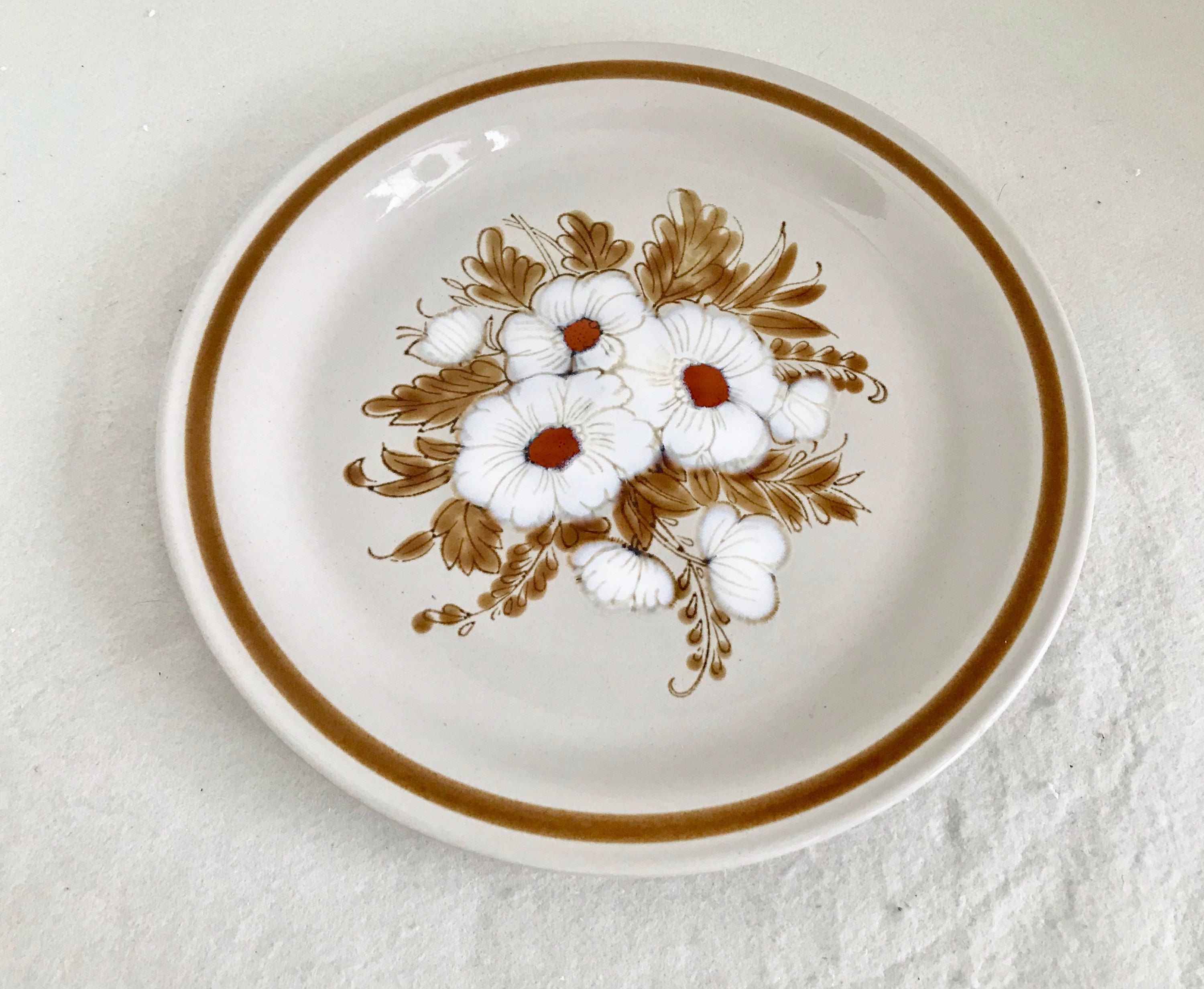 ストーンウェア　ブラウン　モントレー　26cmディナープレート10枚セット SHOP偶然と必然の間 STONEWARE PLATE 26cm BROWN