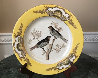Vintage Hua Rong Tang Zhi Porcelana 10 1/4" Plato de pájaro