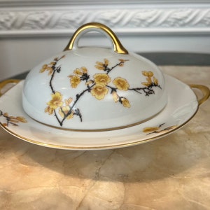 Royal Bayreuth Bavaria Yellow Flowers, Black Branches, Gold Trim Butter Dish