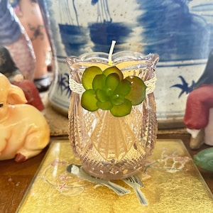 Può includere: Un portacandele in vetro trasparente con un design decorativo e una piccola succulenta verde in cima. Il portacandele è riempito con una candela gialla.