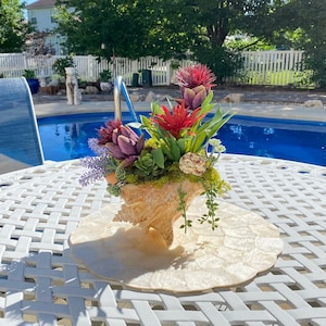 May include: A seashell planter filled with a variety of pink, purple, and green flowers. The planter is sitting on a white table with a woven pattern. The table is in front of a swimming pool.