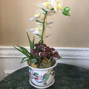 May include: A white orchid with green leaves is planted in a white ceramic pot with a floral design and a hummingbird motif. The pot is sitting on a green marble surface.