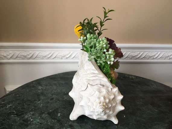 Succulente artificiali in ceramica H12cm - Verde chiaro - Atmosphera créateur d'intérieur