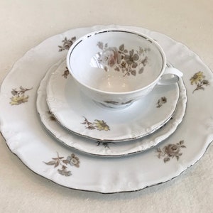 Winterling Schwarzenbach Bavaria 4 Piece Floral Place Setting