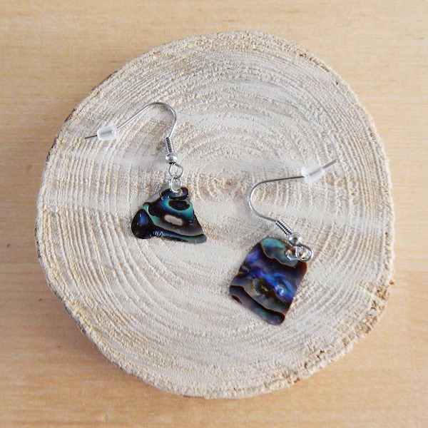 Raw NZ paua/abalone shell Stainless Steel earrings - Auckland series
