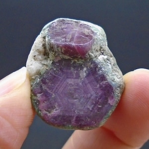 以下が含まれることがあります： 表面に星形の模様のある、ざらざらした紫色のルビーの結晶。結晶は約2.5cmの直径で、手で持たれています。