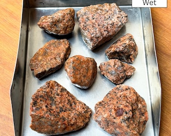 Puede incluir: Siete rocas de granito húmedas con patrones minerales moteados en naranja, gris y negro dispuestas en una bandeja rectangular de acero inoxidable. Una etiqueta rectangular blanca en la esquina superior derecha contiene el texto negro Pictured Wet.
