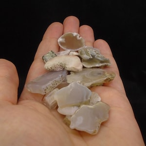 Può includere: Una collezione di fette di agata in varie tonalità di grigio, bianco e marrone. Le fette hanno una forma naturale irregolare e alcune sono traslucide.