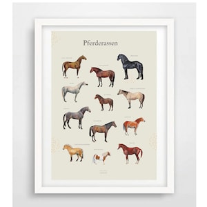 Póster Din A3 "RAZAS DE CABALLOS" Impresión de arte Impresión de arte Impresión de arte ecuestre Impresión Impresión digital Ilustración Imagen de caballo Imagen de la habitación de los niños
