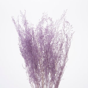 Angle Purple  / Shower Grass Preserved flowers, Floral arrangements, wedding décor, home décor, DIY Flower arrangements.