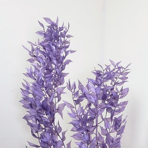 Preserved Ruscus in Angel Purple Pack, Wholesale Foliage , DIY Floral Arrangements, DIY Home Décor, Dried Vase Bouquet