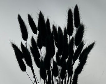Black /  Lagurus  for a sparkling floral arrangement,, Home Décor, Wedding Décor, Dried Flowers, Vase arrangements