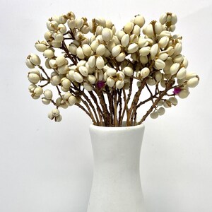 Natural Dried Chinese Tallow Tree, ideal for home décor. making bouquets and arrangements. image 3