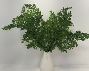 Maidenhair Fern / Green Leaf / Preserved Flower Swag Leaf, Preserved Leaves Pack, DIY Floral Arrangements, DIY Home Decor.