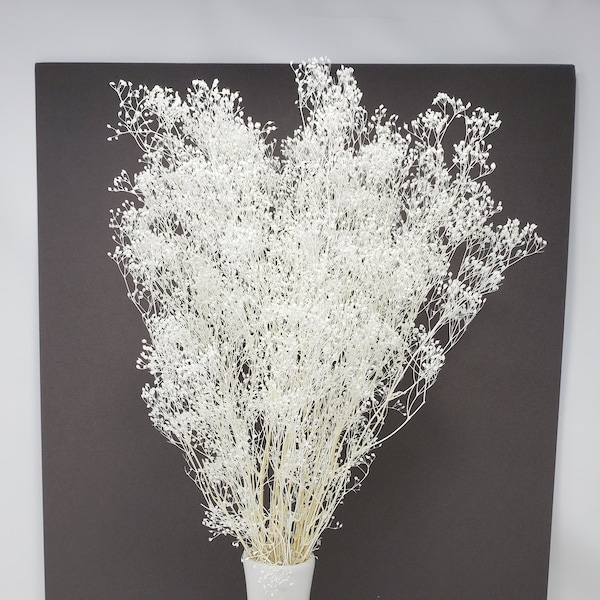 White / Baby Breath / Soft Mini Flare Preserved, DIY Floral Arrangements, DIY Home Décor, Dried Vase Bouquet.