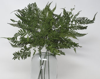 Mini Fern Green Leaf, Preserved Leaves Pack, Wholesale Foliage , DIY Floral Arrangements, DIY Home Decor, Dried Vase Bouquet