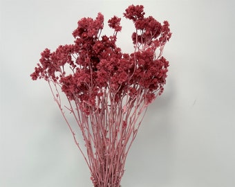 Raspberry Pink / Crispum  Flowers, floral arrangements, home décor, wedding décor, Flower arrangement