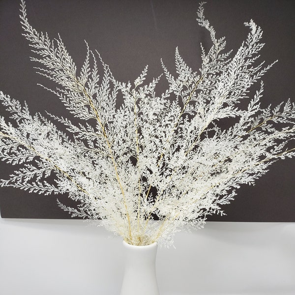 Lace Fern dried in White Color, Wholesale Foliage, DIY Floral Arrangement, DIY Home Décor, Vase Bouquet