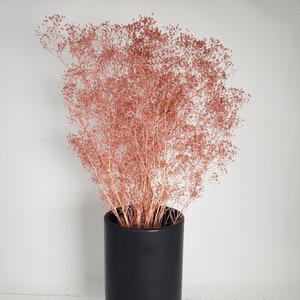 Cloudy Pink/ Baby Breath / Soft Mini Flare Preserved, DIY Floral Arrangements, DIY Home Décor, Dried Vase Bouquet.