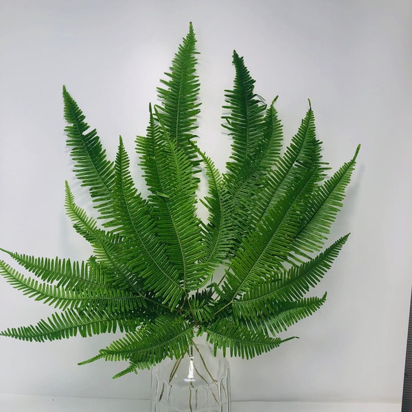 Green / Preserved Mountain Fern Leaf (5 Stems,) Preserved Leaves Pack, DIY Floral Arrangement, DIY Home Décor, Vase Bouquet