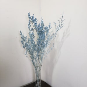 Caspia Preserved in Baby Blue, Floral arrangements, wedding décor, home décor, DIY Flower arrangements