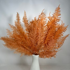 Orange / Preserved Mountain Fern Leaf, Preserved Leaves Pack, DIY Floral Arrangement, DIY Home Décor, Vase Bouquet