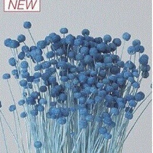 Pinky Button in  Blue Stems, DIY Floral Arrangements, DIY Home Décor, Vase Arrangements