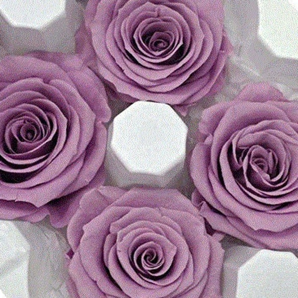 Large Roses in Sweet Lilac Japanese Preserved, Home Décor, DIY Flower Arrangements, Wedding Decorations, Rose Gift