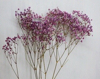 Antique Pres. Gypsophila - Lilac & White , DIY Floral Arrangements, DIY Home Décor, Dried Vase Bouquet