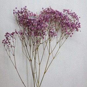 Antique Pres. Gypsophila - Lilac & White , DIY Floral Arrangements, DIY Home Décor, Dried Vase Bouquet