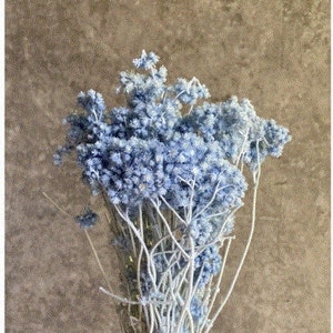 Water Blue / Crispum  Flowers, good for floral arrangements, home décor, wedding décor.