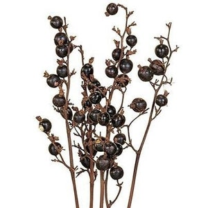 Black Berry Dried Flower with Stems, Dried flower ,home décor, wedding décor, Flower arrangement